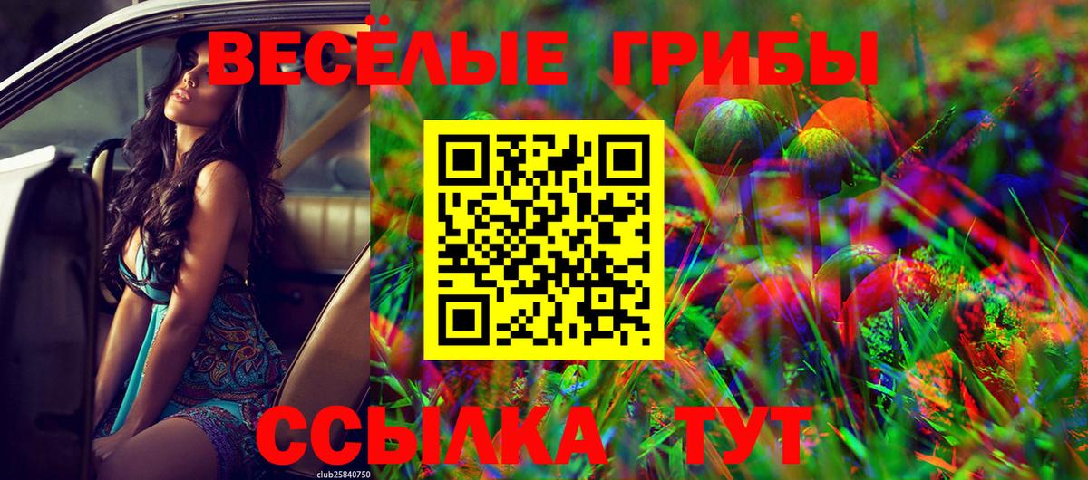 Галлюциногенные грибы мицелий  Галлюциногенные грибы мухоморы  Вход с VPN  Топки 